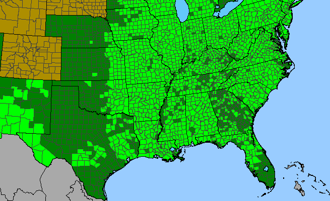 The range of Prunus serotina